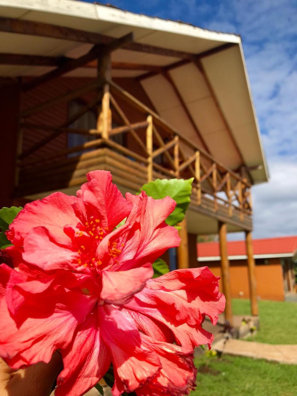 Cabañas Anavai Rapa Nui Villa Hanga Roa Exterior foto